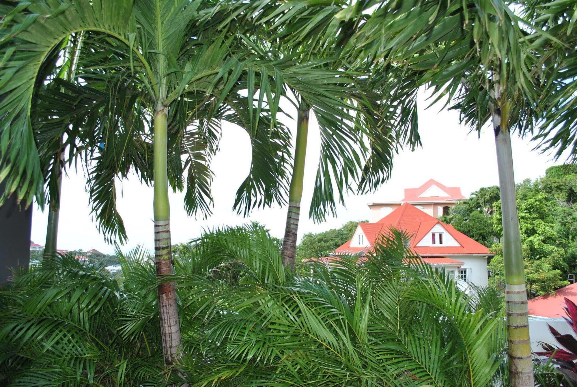 Reve De St. Barth Aparthotel Gustavia Luaran gambar